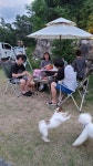 경주애견펜션 해피데이해피독