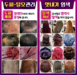 큐사랑 청주봉명점
