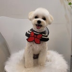 이쁘개애견샵