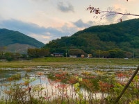 지리산 자양보오토캠핑장