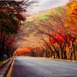 삼성방충망
