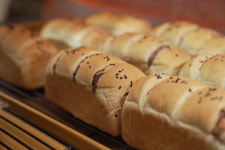 19G 모모이베이커리카페