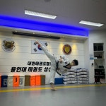 용인대 태권도 상신 정도장