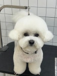 반자주 명지국제신도시점