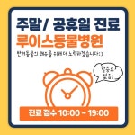 루이스 24시 동물병원