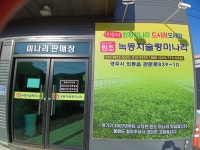 녹동치술령미나리