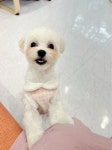에바가위컷전문점