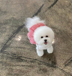 에바가위컷전문점