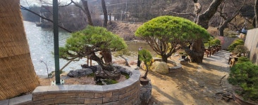 이한조경