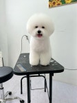 에바가위컷전문점
