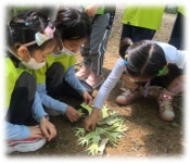 만촌아이숲유치원