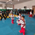 용인대국가대표태권도장