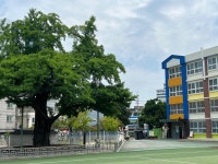 부평초등학교어린이집