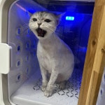 함께냥 본점