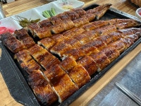풍천숯불민물장어