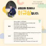 안녕하개 애견유치원 애견미용 애견호텔 독피트니스