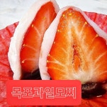 since2014 목포과일모찌 본점