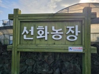선화농장