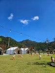 리틀윌링스유치원