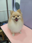 꾸앤쏭