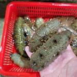 청년수산