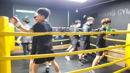 DS복싱클럽