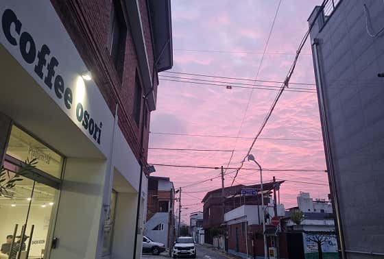 커피오소리 로스터스 사진