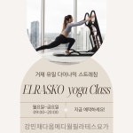 강민채 다옴메디월필라테스요가