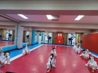 용인대대한태권도장