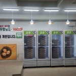 좋은계란할인점