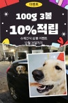 봉구스틱