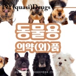 행정사법인 청효
