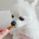 봉자쿠키
