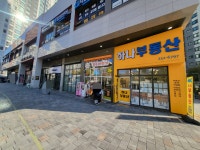 단지내하나부동산중개
