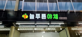 늘푸른야채