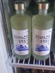 냉삼 1981