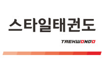 스타일태권도