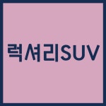 에코스디테일서초