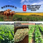 고구려