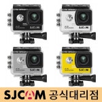 국제에이브이 본사