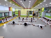두정 태권박사&스포츠