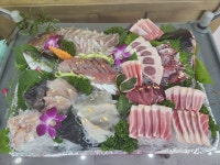 참치앤스시앤활어