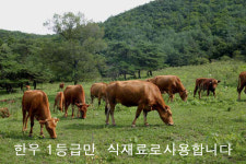 지에스까페