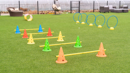 하루멍 애견펜션