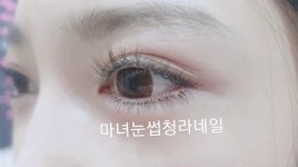 마녀눈썹