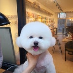 더예쁘개