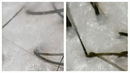큐사랑 청주모충점 | 큐사랑 청주봉명점