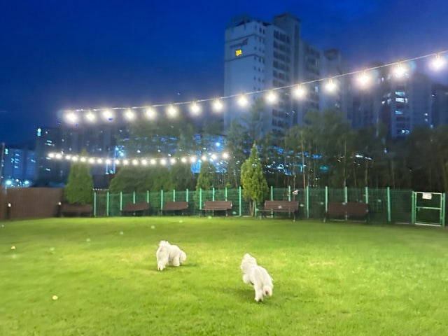 어라운드펫 정관신도시점