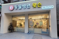 동물병원 왓슨
