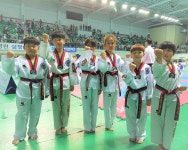 연세대 대진태권도